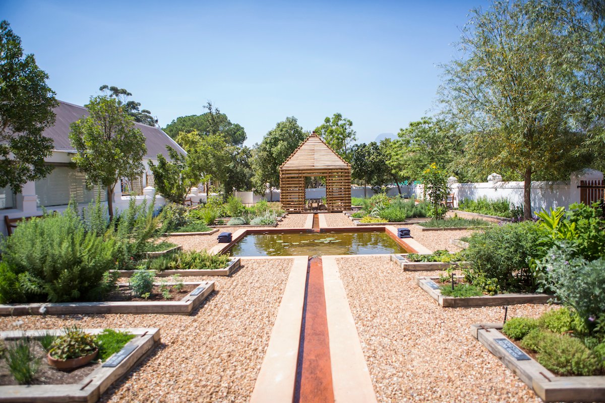 The Healing Garden: Unlocking the Secrets of Herbs